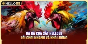 Đá Gà Cựa Sắt Hello88 – Lối Chơi Nhanh Và Khó Lường