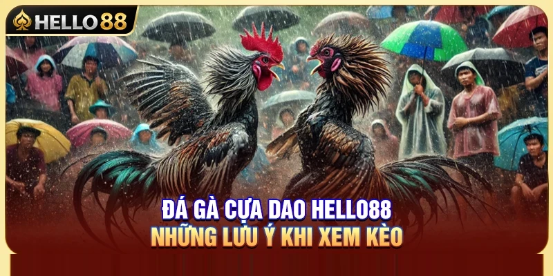 Đá Gà Cựa Dao Hello88 – Những Lưu Ý Khi Xem Kèo 1 Đá Gà Cựa Dao Hello88 – Những Lưu Ý Khi Xem Kèo