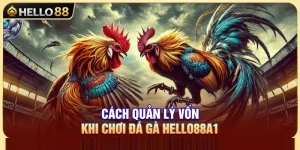 Bí Quyết Quản Lý Vốn Đá Gà Hello88 Để Luôn Bảo Toàn Nguồn Vốn