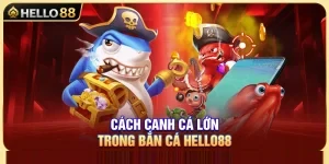 Cách Canh Cá Lớn Hello88 Chuẩn Cho Ngư Thủ