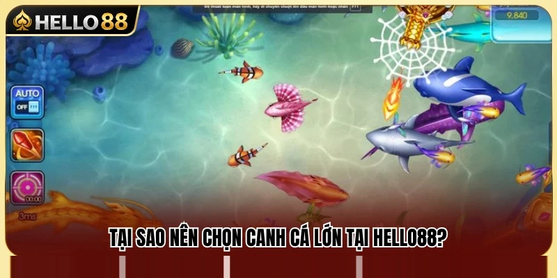 Cách Canh Cá Lớn Hello88 Chuẩn Cho Ngư Thủ 2 Vì sao nhiều người chơi ưu tiên nhắm mục tiêu cá lớn?