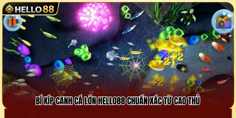 Cách Canh Cá Lớn Hello88 Chuẩn Cho Ngư Thủ 3 Kinh nghiệm săn cá lớn Hello88 hiệu quả từ người chơi lâu năm