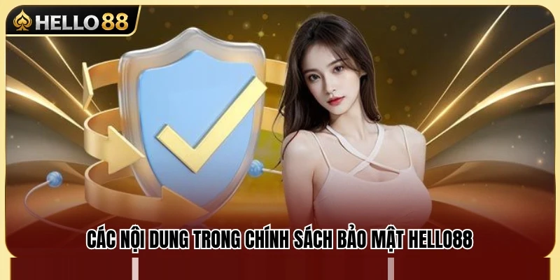 Vài điều khoản quan trọng được quy định trong chính sách 