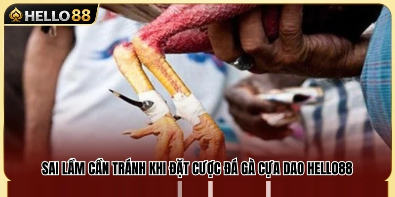 Đá Gà Cựa Dao Hello88 – Những Lưu Ý Khi Xem Kèo 4 Những lỗi phổ biến khiến người chơi dễ thất thế