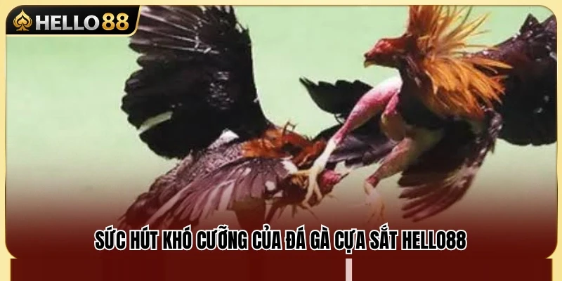 Đá Gà Cựa Sắt Hello88 – Lối Chơi Nhanh Và Khó Lường 2 Khám phá sức nóng của đá gà cựa sắt Hello88