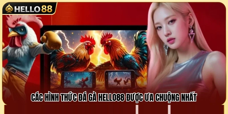 Top hình thức cược đá gà được yêu thích 