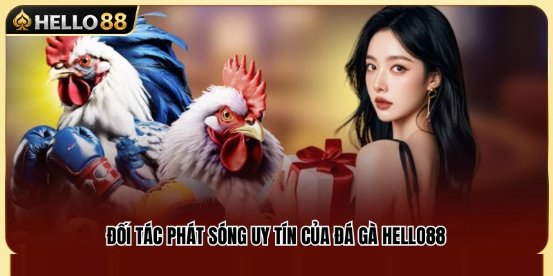 Đơn vị cung cấp trận đấu đá gà chất lượng cao 