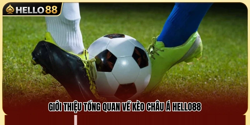 Kèo Châu Á Hello88 – Hướng Dẫn Cách Đọc Cửa Trên Cửa Dưới 2 Tìm hiểu cơ chế hoạt động của kèo Châu Á Hello88