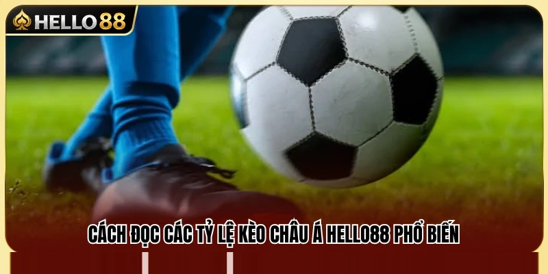 Kèo Châu Á Hello88 – Hướng Dẫn Cách Đọc Cửa Trên Cửa Dưới 3 Cách hiểu tỷ lệ kèo Châu Á dành cho người mới