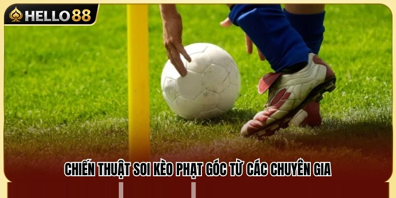 Kèo Phạt Góc Hello88 – Góc Cược Cho Người Thích Thống Kê 3 Kinh nghiệm phân tích kèo phạt góc hiệu quả