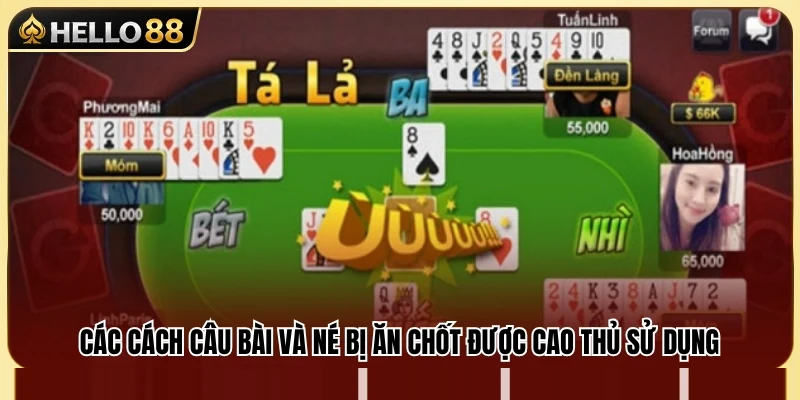Phỏm Hello88 – Cách Câu Bài Và Né Bị Ăn Chốt 4 Mẹo tránh bị ăn chốt giúp giảm rủi ro thua cuộc