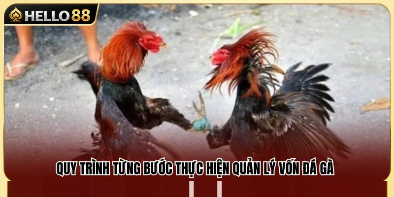 Bí Quyết Quản Lý Vốn Đá Gà Hello88 Để Luôn Bảo Toàn Nguồn Vốn 4 Hướng dẫn xây dựng kế hoạch quản lý vốn khoa học
