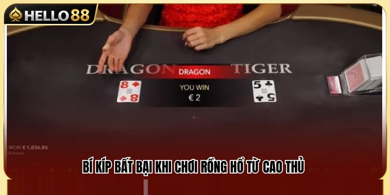 Rồng Hổ Hello88 – Ván Bài Nhanh Dễ Theo Dõi 4 Kinh nghiệm thực chiến từ người chơi lâu năm dành cho Rồng Hổ