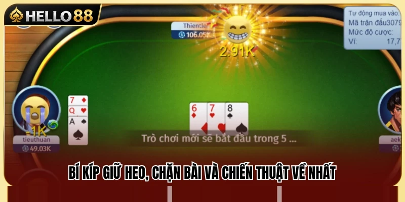Kinh nghiệm giữ heo hiệu quả để tối ưu lợi thế 