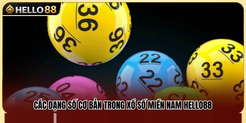 Xổ Số Miền Nam Hello88 – Các Dạng Số Người Mới Nên Biết 3 Những loại hình dự thưởng phổ biến tại xổ số miền Nam